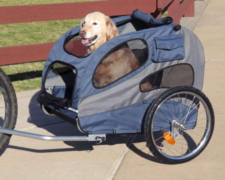 Rolling in Style: The Ultimate Guide to Dog Stroller large dog stroller