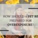 How should a pet be prepared for overexposure