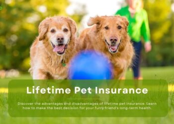 The Pros and Cons of Getting Lifetime Pet Insurance Lifetime Pet Insurance