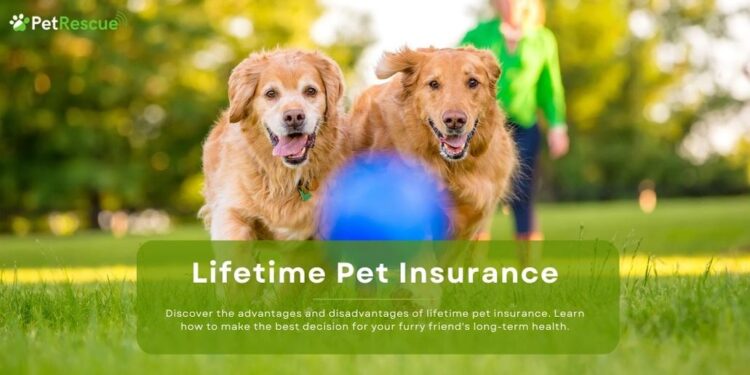 Lifetime Pet Insurance