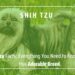 Shih Tzu Facts