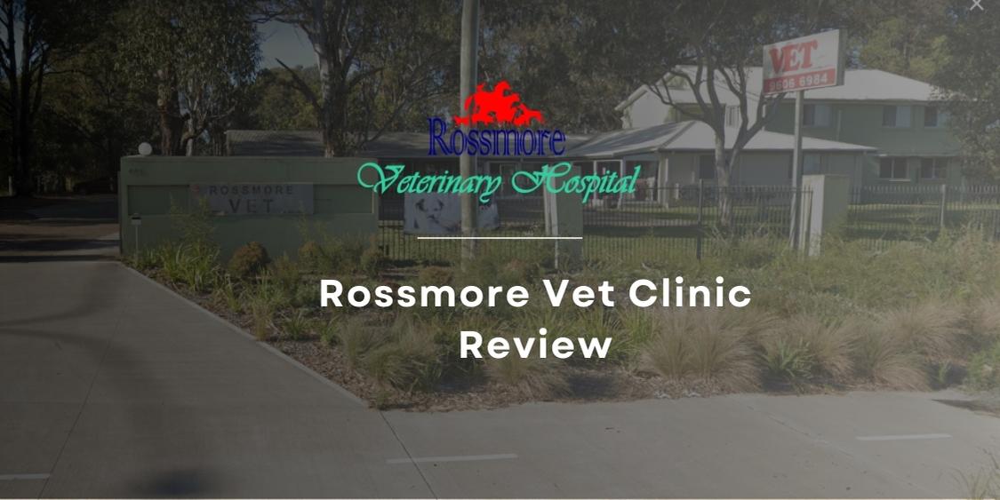 rossmore vet