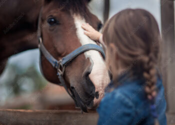 Horse Feed For Nutrition