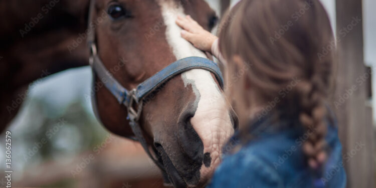 Horse Feed For Nutrition