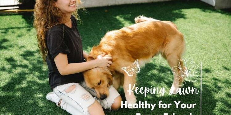 7 Tips for Keeping Your Lawn Safe and Healthy for Your Furry Friends Keeping Your Lawn Safe and Healthy for Your Furry Friends