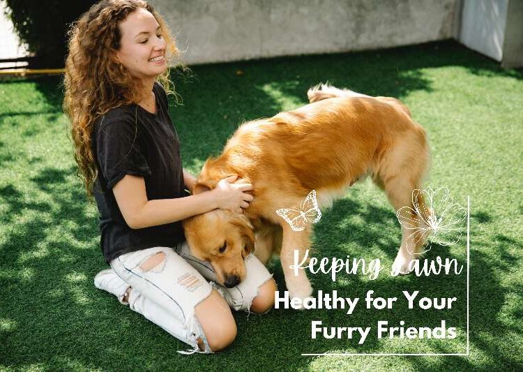 7 Tips for Keeping Your Lawn Safe and Healthy for Your Furry Friends Keeping Your Lawn Safe and Healthy for Your Furry Friends