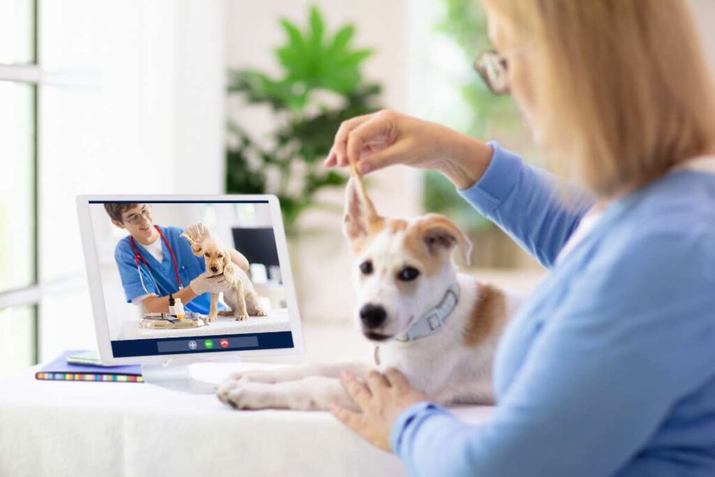 Pet Care That Pet Parents Can Use Virtually Pet Telehealth