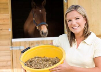 Sweet Feed for Horses