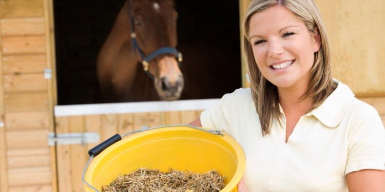 Sweet Feed for Horses 101: A Beginner's Guide to Better Nutrition! Sweet Feed for Horses
