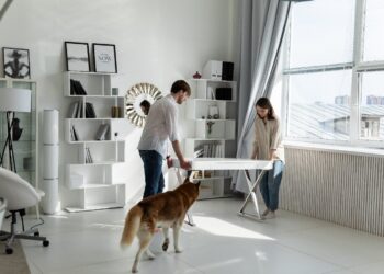 Tips for Moving Long Distance with Pets