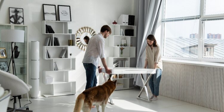 Tips for Moving Long Distance with Pets