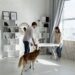 Tips for Moving Long Distance with Pets