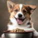 Improve Your Pet's Diet