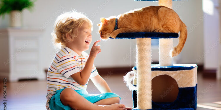 Cats for kids