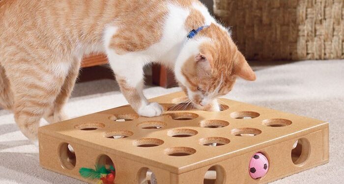 Top Interactive Toys to Keep Your Feline Engaged Chasing Toys