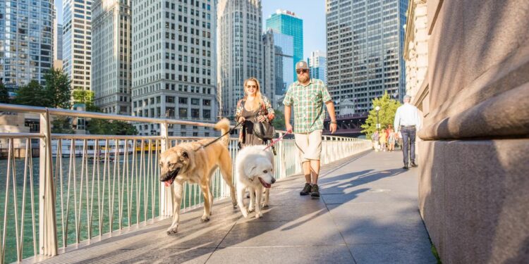 A Weekend Guide to Dog-Friendly Chicago Dog-Friendly Chicago