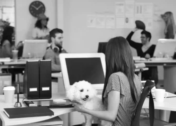 Pet-Friendly Businesses