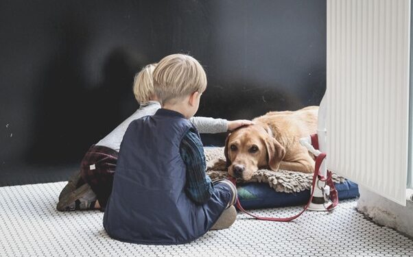 Pet for Your Kid