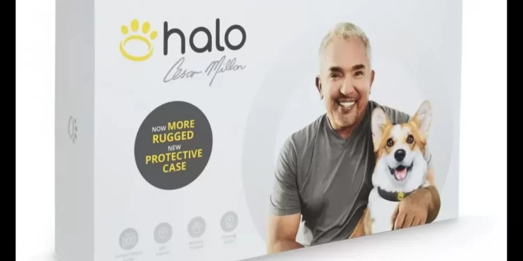 A Comprehensive Guide to Halo Dog Collar-Compatible Wireless Dog Fences Halo Dog Collar