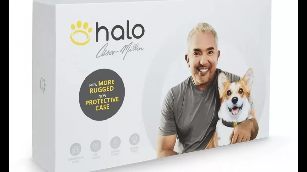 A Comprehensive Guide To Halo Dog Wireless Dog Fences