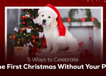 5 Ways to Celebrate the First Christmas Without Your Pet