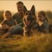 Are German Shepherds Good Family Dogs? Are German Shepherds Good Family Dogs