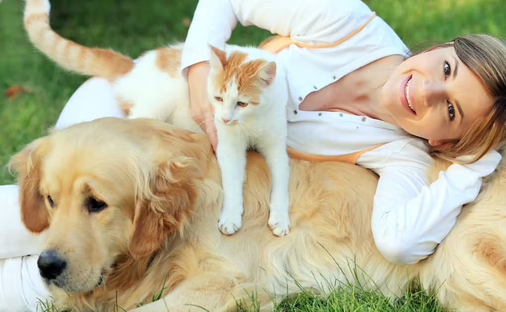 How to Choose A Pet That Is Right for You Choose A Pet