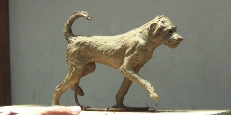 Cherishing Every Moment: A Guide to Celebrating Your Dog's Legacy Dog's Legacy