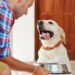 What You Need to Know About Food Sensitivities in Dogs Food Sensitivities in Dogs