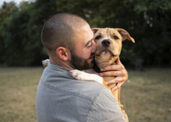 well-behaved Pitbull puppy