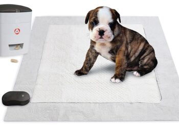 How To Potty Train A Bully Puppy
