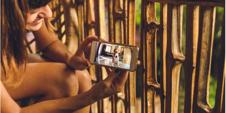 10 Tips for Creating Amazing Pet Videos