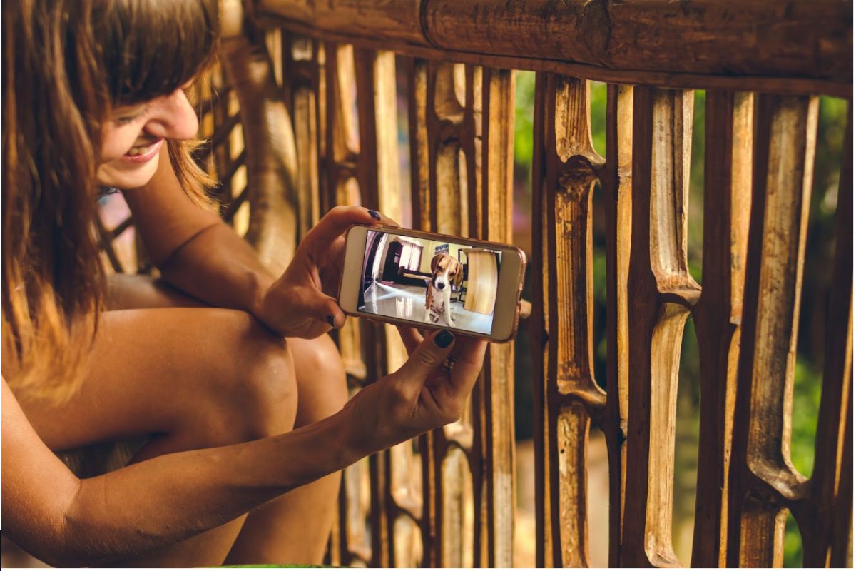 10 Pointers For Growing Superb Puppy Movies