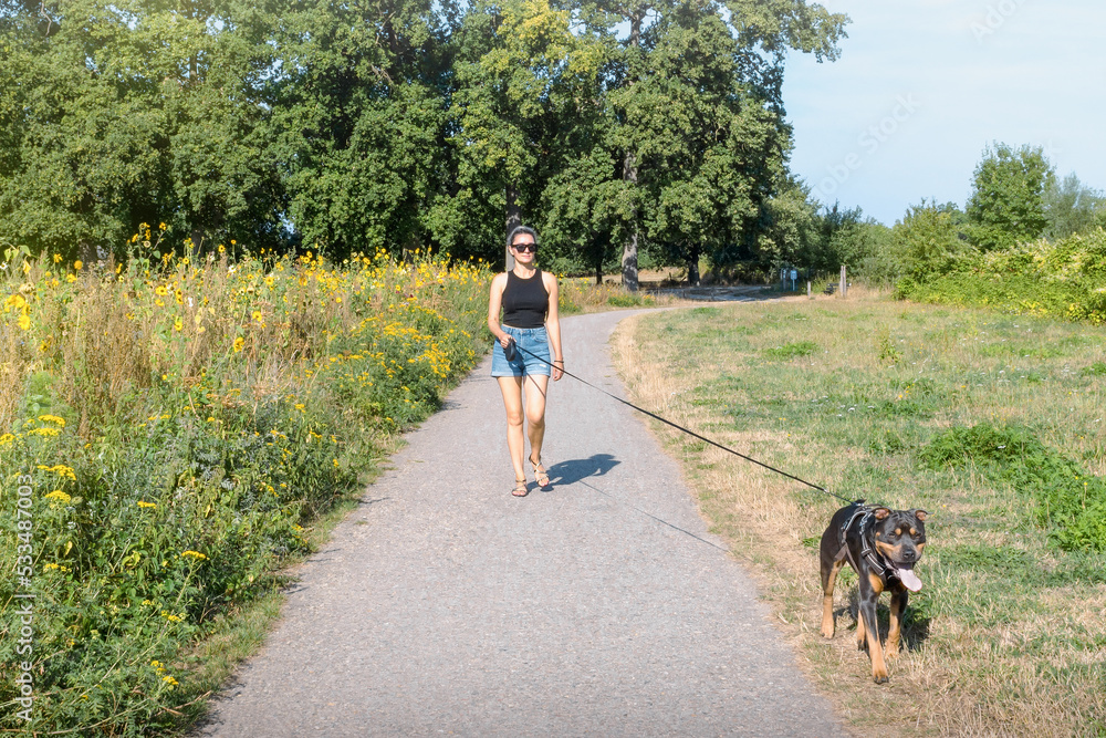 Long dog leash. Woman on a walk with a dog american stafford