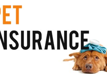 Pet Insurance in 2024: Understanding its Value and Benefits Pet Insurance in 2024