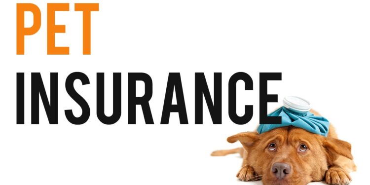 Pet Insurance in 2024: Understanding its Value and Benefits Pet Insurance in 2024
