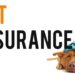 Pet Insurance in 2024