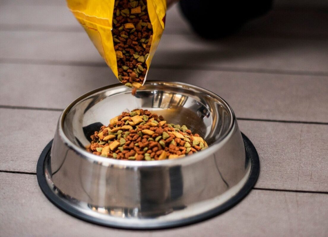 Quality Dog Food