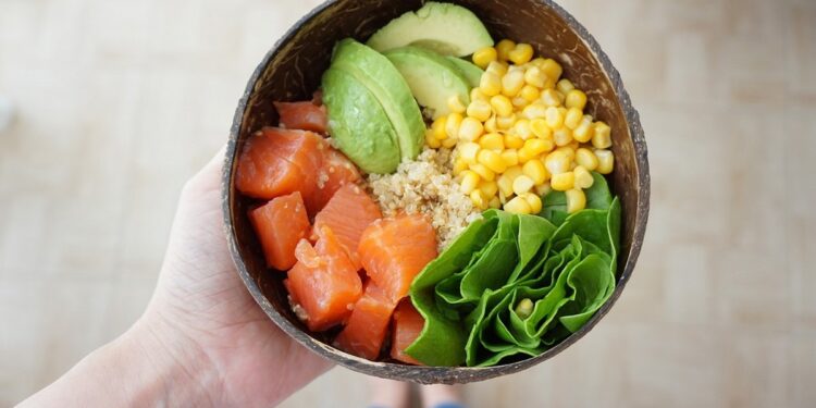 Exploring Famous Diets for Your Furry Friend's Nutrition The Balanced Bowl