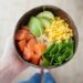 Exploring Famous Diets for Your Furry Friend's Nutrition The Balanced Bowl