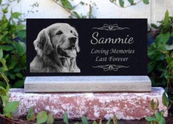 7 Astonishing Communal Memorials You Can Create for Your Departed Pet