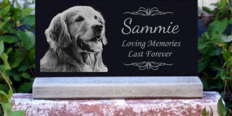 7 Astonishing Communal Memorials You Can Create for Your Departed Pet 7 Astonishing Communal Memorials You Can Create for Your Departed Pet