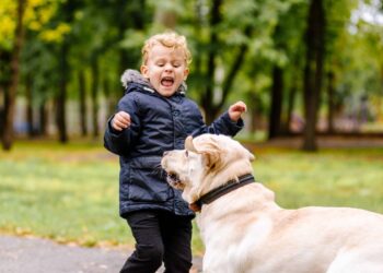Children and Dog Safety-1