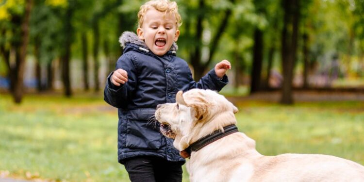 Children and Dog Safety-1