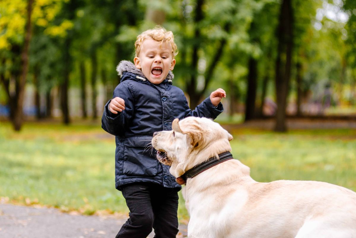 Children and Dog Safety: Minimizing the Risk of Bites Children and Dog Safety-1