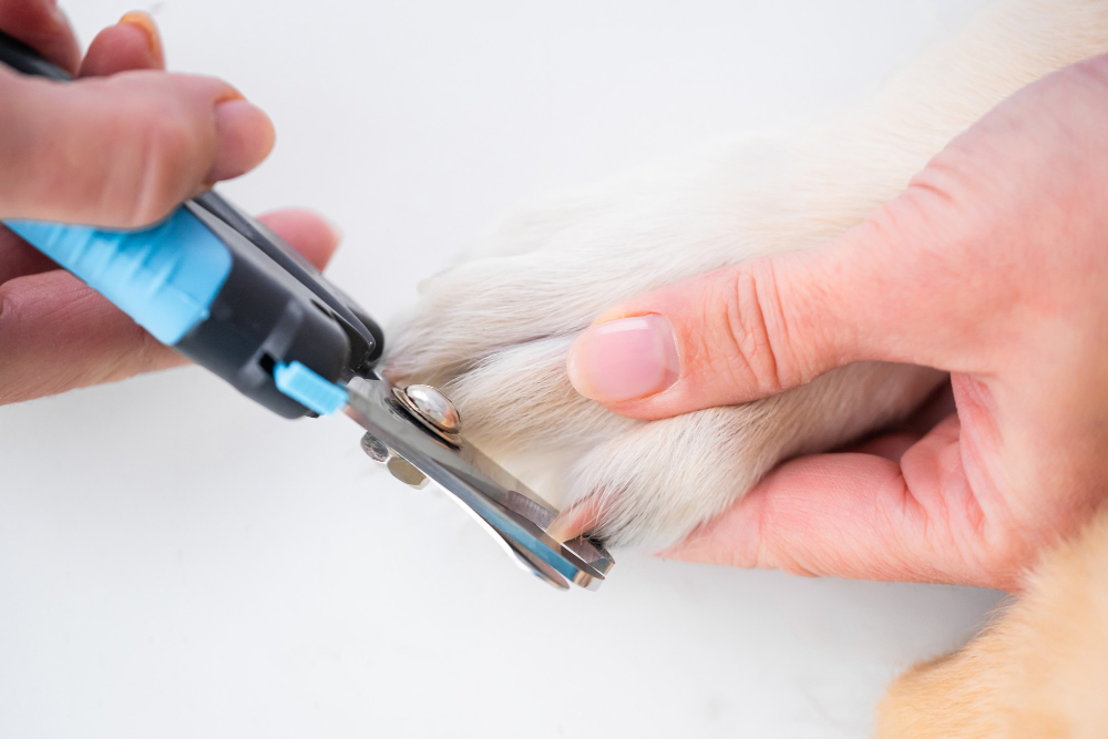 Dog Nail Clippers