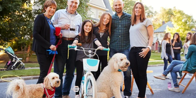 Socialization on Dog