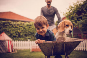 Beagle with children