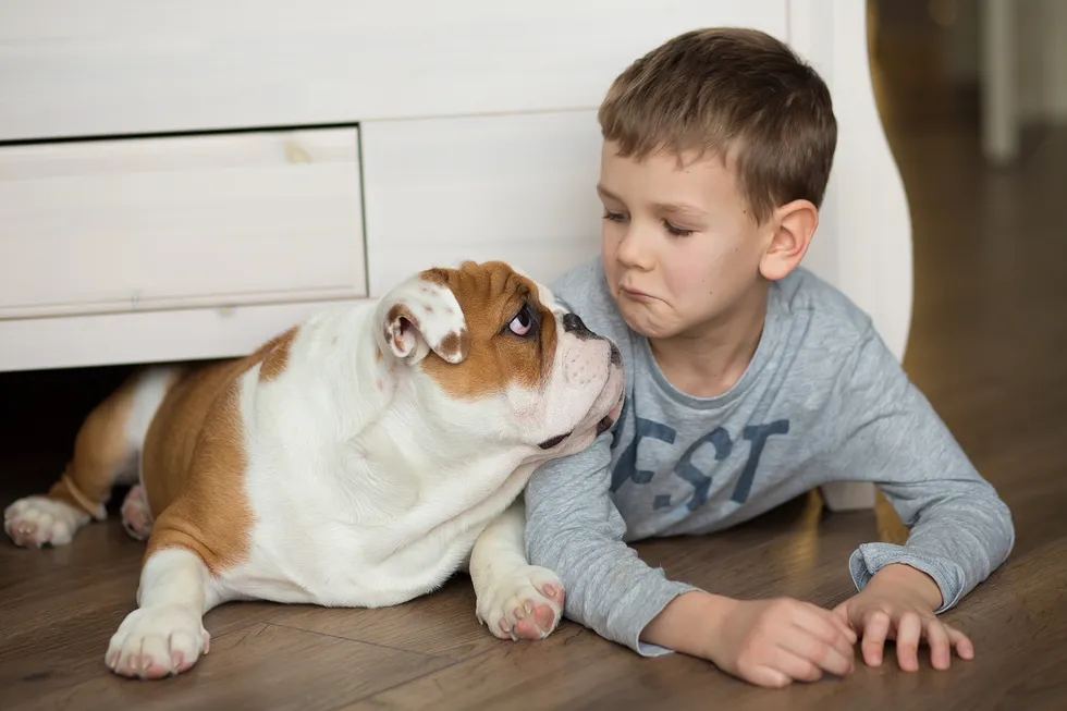 Bulldog with children