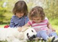 Dog Breeds That are Great For Families with Small Children